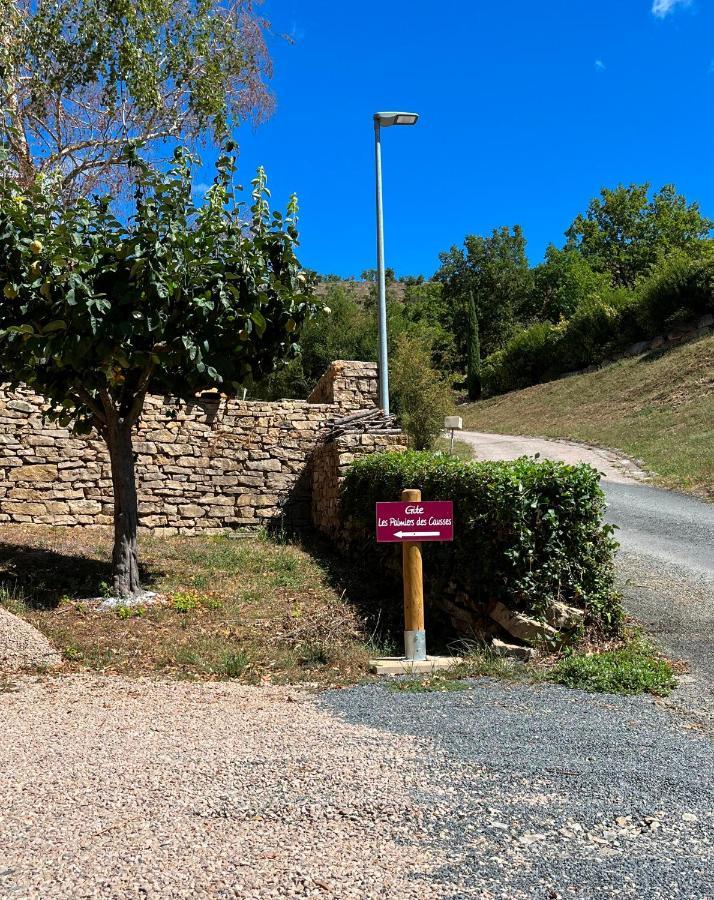 Chambre Au Calme Avec Spa Privatif Gratuit Sud Aveyron Les Palmiers Des Causses Saint-Rome-de-Tarn Εξωτερικό φωτογραφία