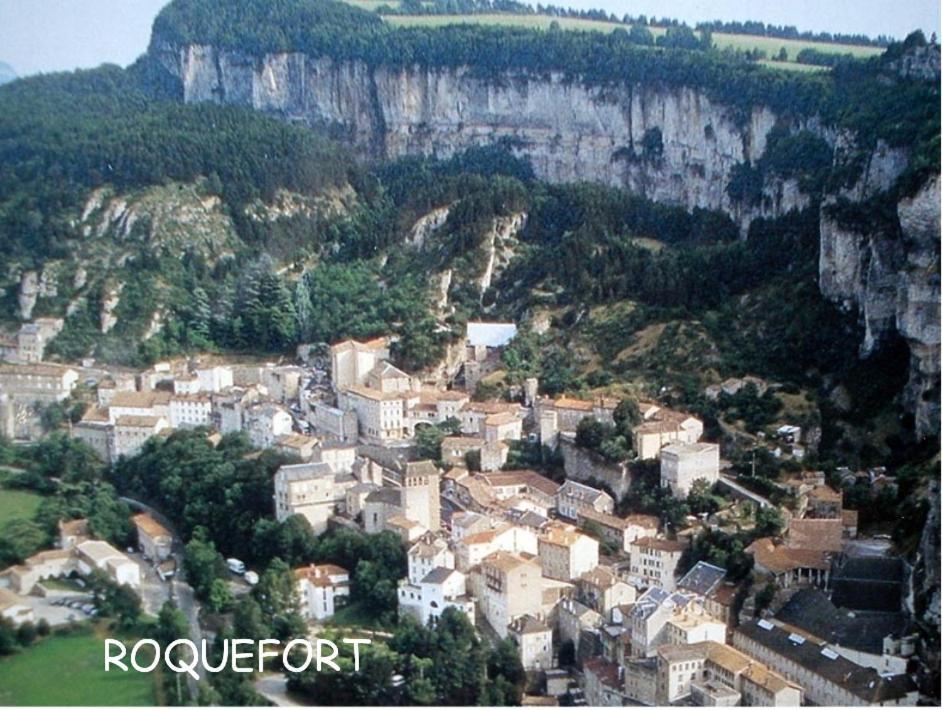 Chambre Au Calme Avec Spa Privatif Gratuit Sud Aveyron Les Palmiers Des Causses Saint-Rome-de-Tarn Εξωτερικό φωτογραφία